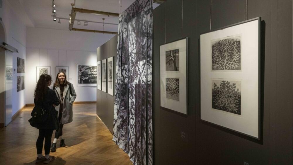 Výstava Romana Karpaše, foto: Artur Irma